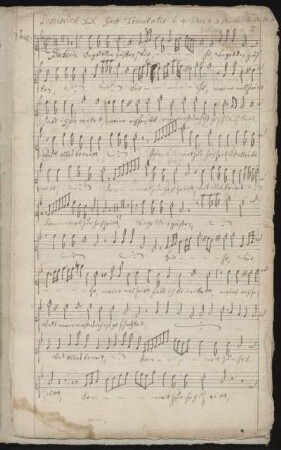 Voce (Canto)