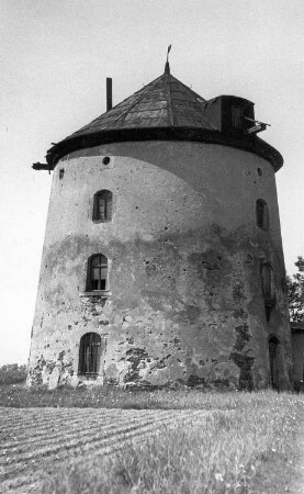 Lampertswalde-Adelsdorf. Turmholländer
