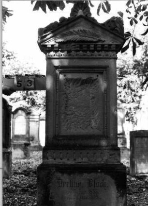 Grabstein 53 (Index: 100086703) Material: Sandstein Zustand: Schrifttafel herausgeschlagen Maße HxBxT: 206x65x29 cm Beschreibung: Stele, Sockel, Giebel mit Akroteren, eingetieftes Schriftfeld rechteckig Symbolik: Palmwedel, Palmette als Mittelakroter: Grabstein 53