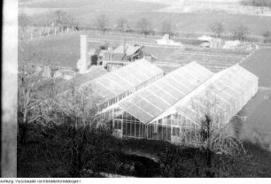 Dresden, Kaditz. Gärtnerische Produktionsgenossenschaft (GPG) Gartenbau Kaditz. Neue Gewächshäuser, 1959