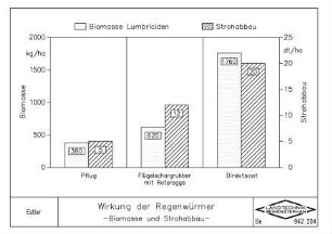 Wirkung der Regenwürmer - Biomasse und Strohabbau -