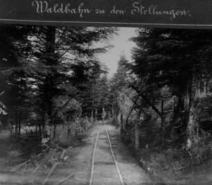 Erster Weltkrieg - "Kriegsansichten aus den Vogesen". "Waldbahn zu den Stellungen"