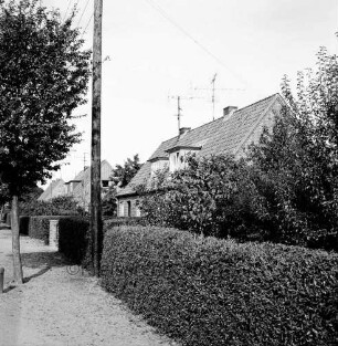 Siedlungshäuser mit Vorgärten und Hecken: links Strommast und Baum