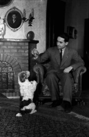 Bukarest: Wohnung Miller, Herr mit Foxterrier, macht Männchen
