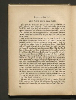 Wie Feieli einen Weg sucht