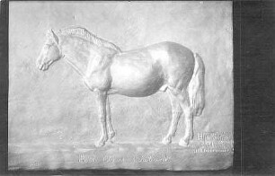 Estnisches Pferd (Relief)
