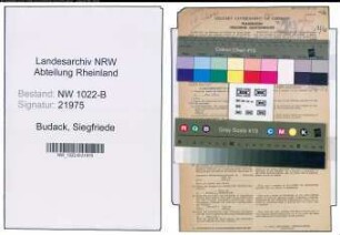 Entnazifizierung Siegfriede Budack , geb. 05.11.1916 ()