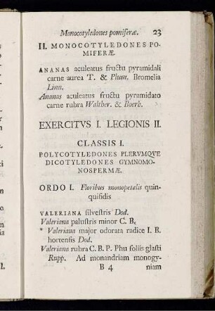 Exercitus I. Legionis II. [Polycotyledones Gymnospermæ.]