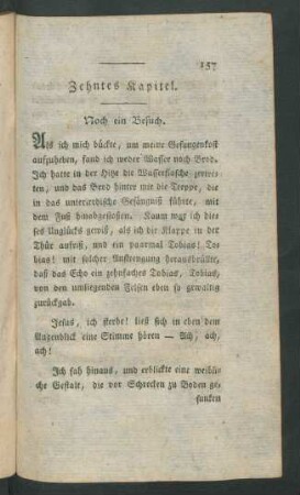 Zehntes Kapitel. Noch ein Besuch.