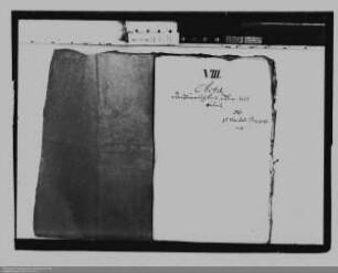 Anspruch des unter Vormundschaft stehenden Prinezen Wilhelm Karl Heinrich Friso von Nassau-Oranien auf die Herrschaft Herstal