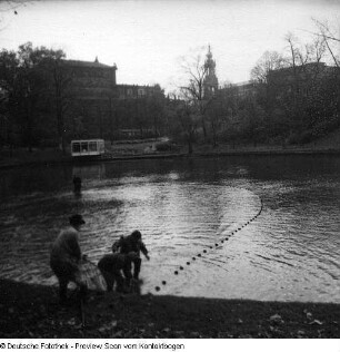Fischfang im Zwingerteich