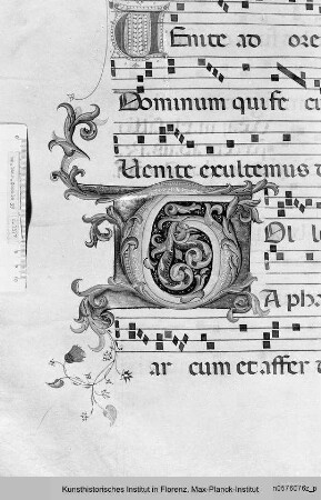 Buchseite mit Text, Neumen und Rankeninitiale T - Corale