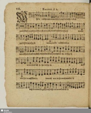 VII. Was betrübst du dich