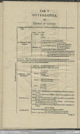 Tab. V. Osteologia. De Ossibus in Genere