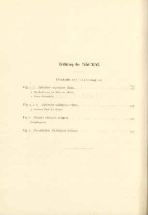 Erklärung der Tafel XLVII.