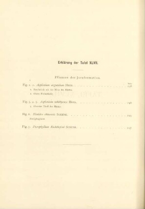 Erklärung der Tafel XLVII.