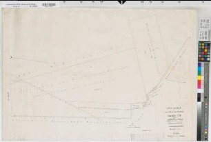 Rheine r.d. Ems (Rheine), Teilung der Elter Mark, Bl.1 Reinkarte