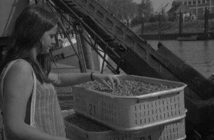 Tönning: Krabbenkästen mit Sigrid