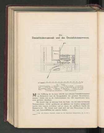 DIe Desinfektionsanstalt und das Desinfektionswesen.