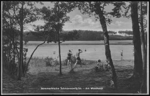 Schmannewitz. Waldteich