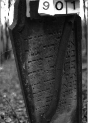 Grabstein 901 (Detailaufnahme 2)