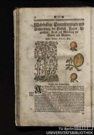 Wahrhaftige Conterfeytungen und Beschreibung der Gestalt, Natur, Eigenschaft, Kraft und Wuerckung der Baeume und Stauden.