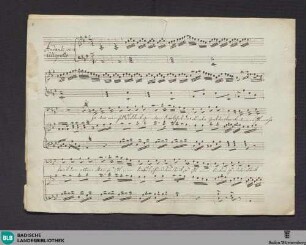 Das Donauweibchen I. Excerpts. Arr - Don Mus.Ms. 2690 : V, pf