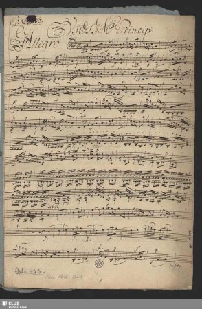 Violino Princip: