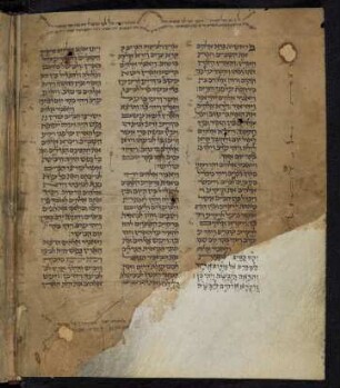 Torah, Haftarot, Megilot und Hiob
