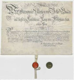 König Hieronymus Napoleon von Westphalen ernennt Heinrich Sültemeyer zu Dannenberg zum Notar