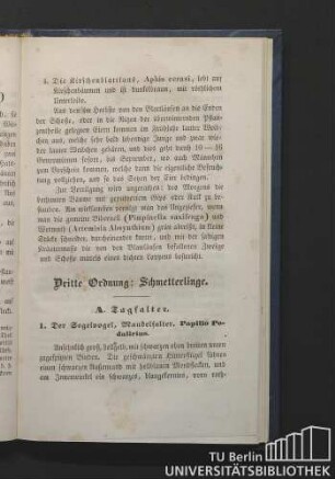 Dritte Ordnung: Schmetterlinge.
