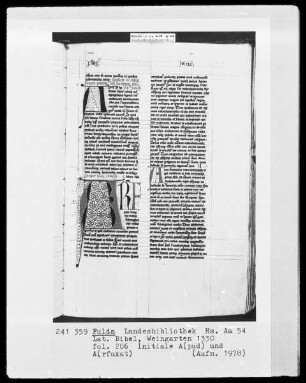 Lateinische Bibel — Initialen A (pud) und A (rfaxat), Folio 206recto