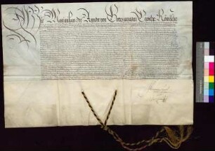 Kaiser Maximilian II. bestätigt die Privilegien und Freiheiten der Stadt Bautzen.