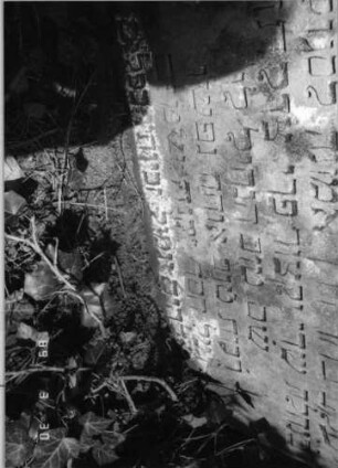 Grabstein 322 (Index: 99791712) Material: Sandstein Zustand: gut, Stele weggebrochen Maße HxBxT: 63x75x42 cm Beschreibung: Stele, profilierter Sockel: Grabstein 322 (Detailaufnahme)