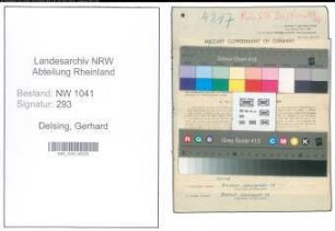 Entnazifizierung Gerhard Delsing , geb. 28.12.1912 (Ingenieur)