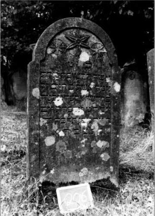 Grabstein 206 [Nir S. 125 Nr. 13.03]