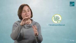 The Gut Microbiome and Individual Genetics