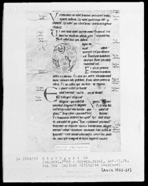 Bibel — Initiale D (iligite inimicos), Folio 36 verso
