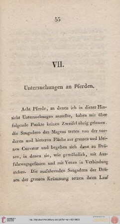 VII. Untersuchungen an Pferden