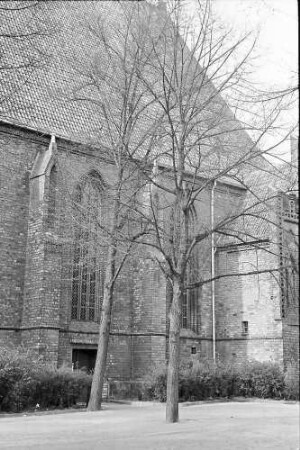 Berlin; Spandau: Gotisches Fenster der Nicolaikirche