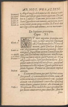 De septimo praecepto. Caput XI.