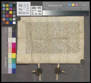 Dalsheim: Lit. emt. Domus in Dalsheim custodiae St. Andreae