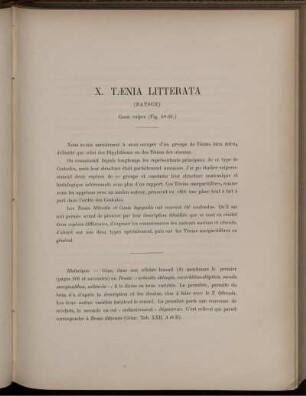 X. Tænia Litterata