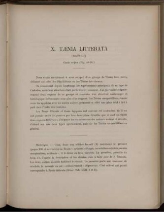 X. Tænia Litterata