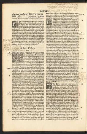 Liber Tobiae.