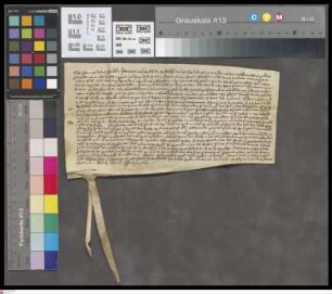 Bechtolsheim: Donatio Johannis de Bechtolsheim super 24 Maltra Siliginis annua atim de curia ibidem sita et bonis pertinentibus solvenda