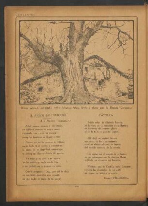 El árbol en invierno