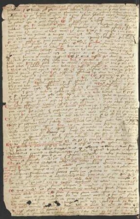 Quaestio quod peregrinationes ad loca sanctorum non sunt simpliciter reprobanda