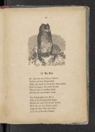 23. Der Uhu.