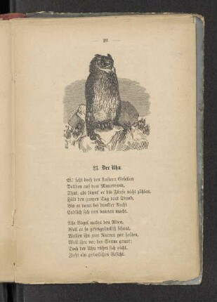 23. Der Uhu.